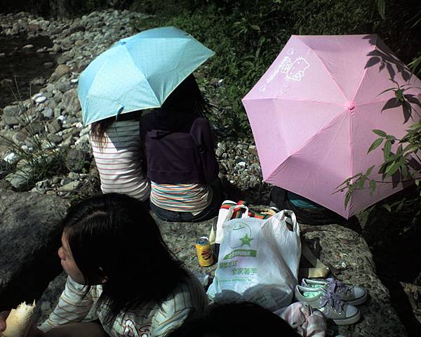 兩把不知名的雨傘