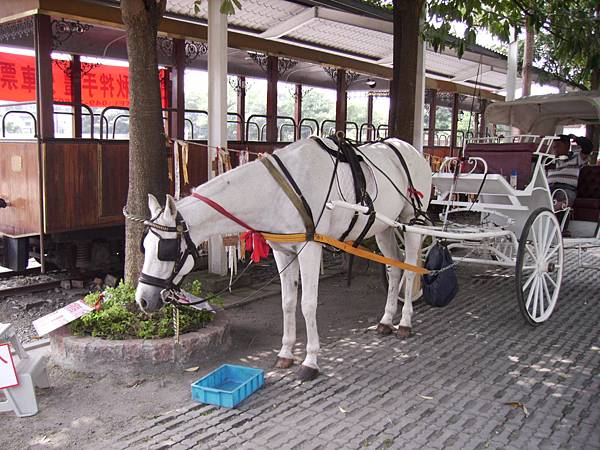 028_假日廣場的馬車