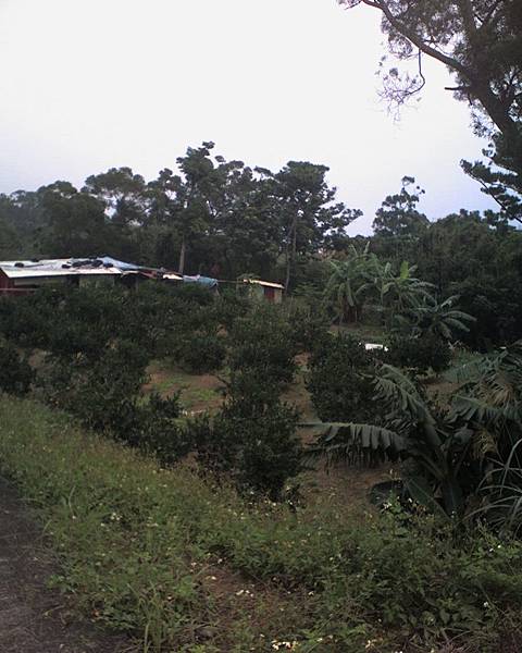 013_飛行傘練習場2