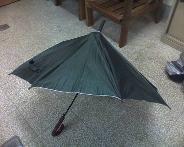 umbrella_3