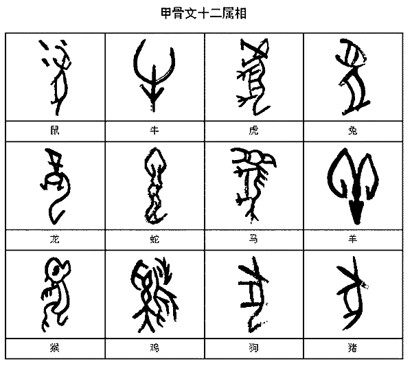 甲骨文12生肖
