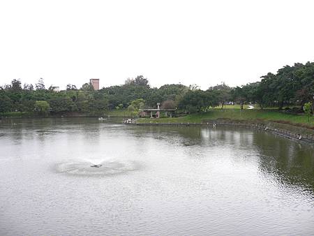 P1010046.JPG P1010046.JPG