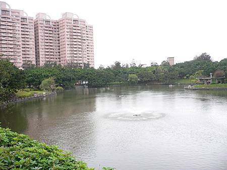 P1010047.JPG P1010047.JPG