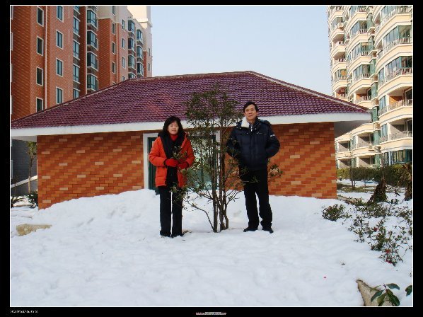 都是雪