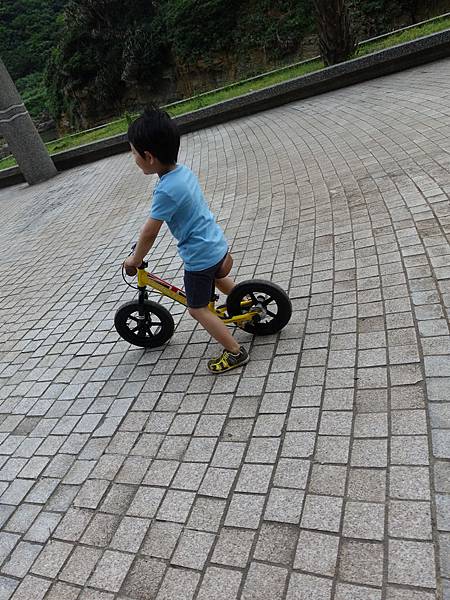 IMG_3977.JPG IMG_3977.JPG