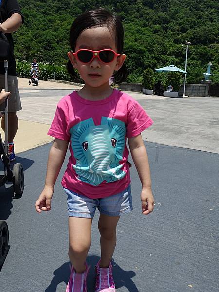 IMG_6547.JPG IMG_6547.JPG