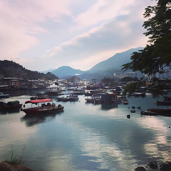 IMG_0411.JPG IMG_0411.JPG