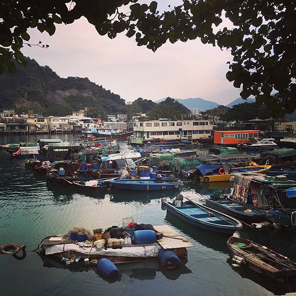 IMG_0410.JPG IMG_0410.JPG