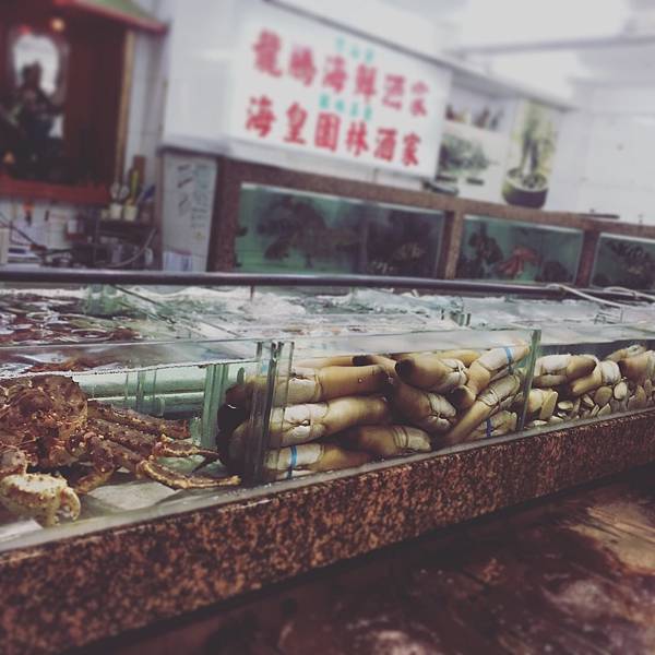 IMG_0418.JPG IMG_0418.JPG