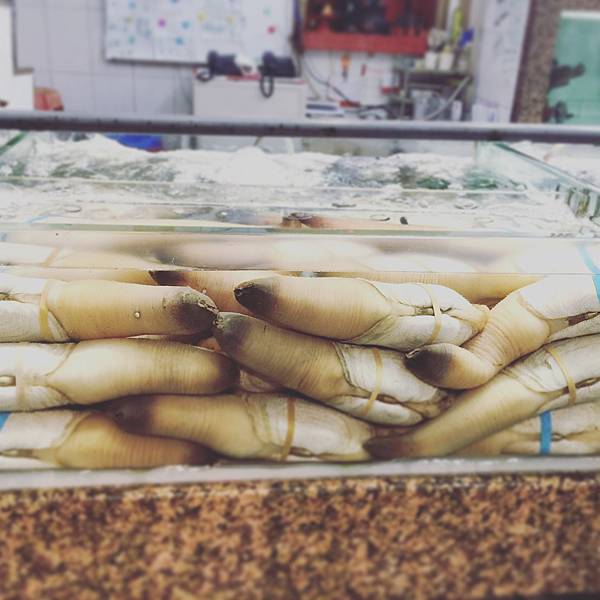 IMG_0417.JPG IMG_0417.JPG