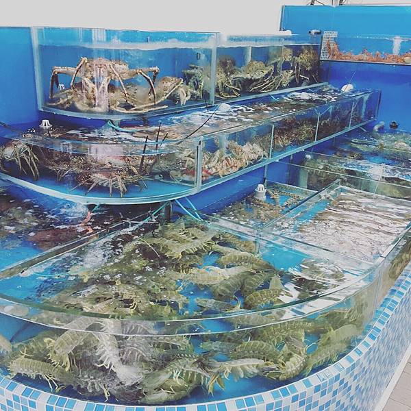 IMG_0451.JPG IMG_0451.JPG