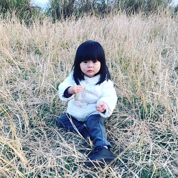 IMG_0460.JPG IMG_0460.JPG