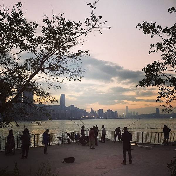 IMG_0441.JPG IMG_0441.JPG