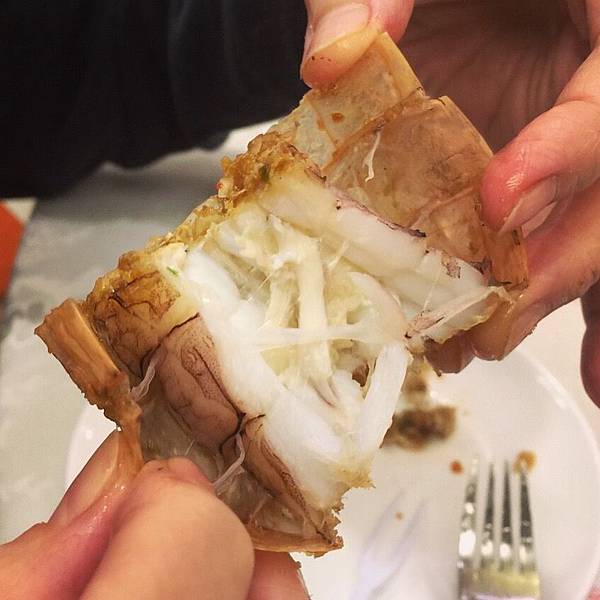 IMG_0465.JPG IMG_0465.JPG