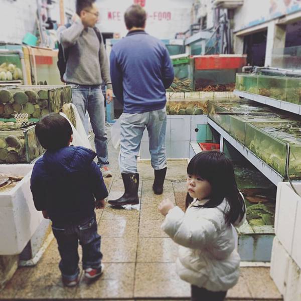 IMG_0448.JPG IMG_0448.JPG