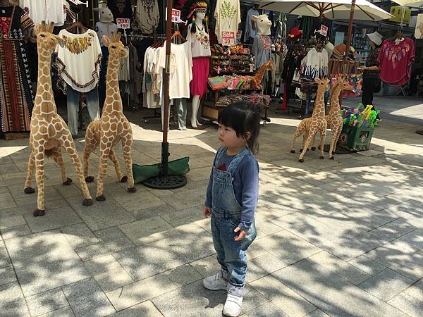 IMG_3930.JPG IMG_3930.JPG