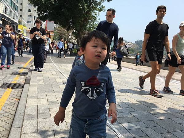 IMG_3951.JPG IMG_3951.JPG