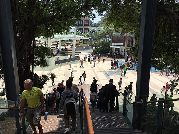 IMG_3966.JPG IMG_3966.JPG