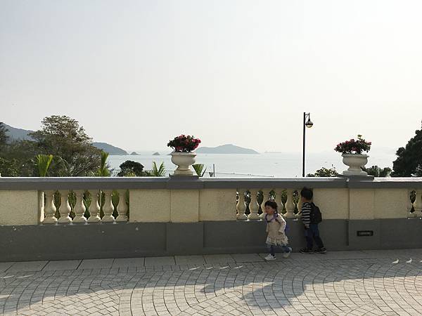 IMG_9195.JPG IMG_9195.JPG