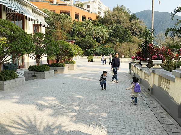 IMG_9188.JPG IMG_9188.JPG