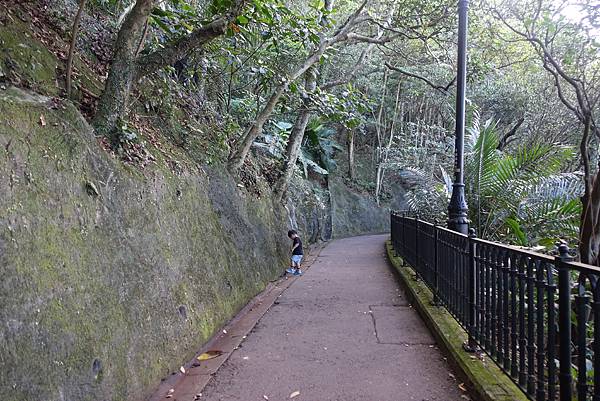 DSC00536.JPG DSC00536.JPG