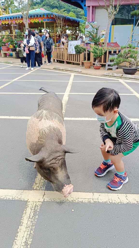 花開了休閒農場，就像迷您兒童小樂園，還有玩水區，不用門票就可