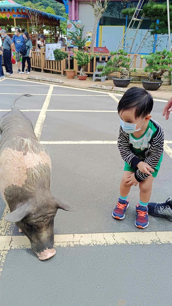 花開了休閒農場，就像迷您兒童小樂園，還有玩水區，不用門票就可