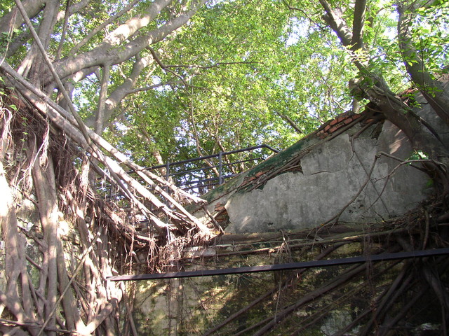 安平樹屋