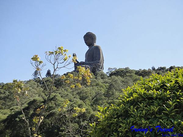 DSC01431