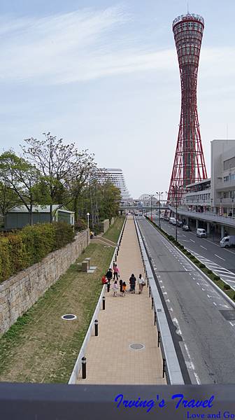 DSC05436.JPG