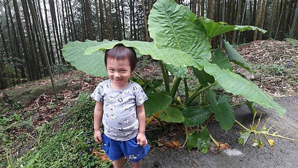 20160903-04六號花園露營趣_2286.jpg