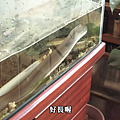 659F03A5-34C9-4AB9-AE65-B21927DE4B9E.png