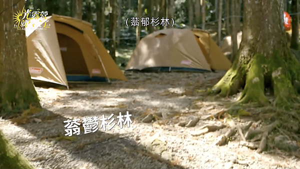 光露營就很忙了筆記｜橘色三食、司馬限360度景觀露營區、起初