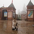 清境小瑞士花園