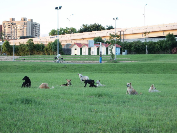 古亭河濱公園