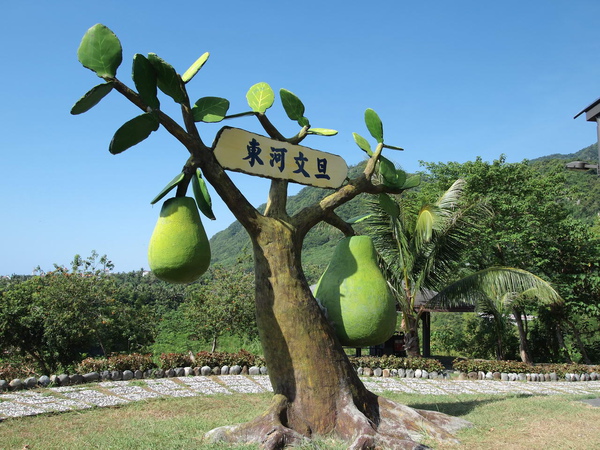 東河鄉