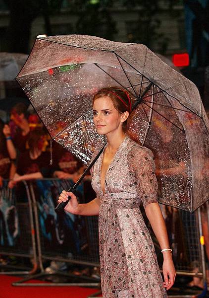 Emma_Watson_Premiere_Upskirt_Pany_Flash_17.jpg