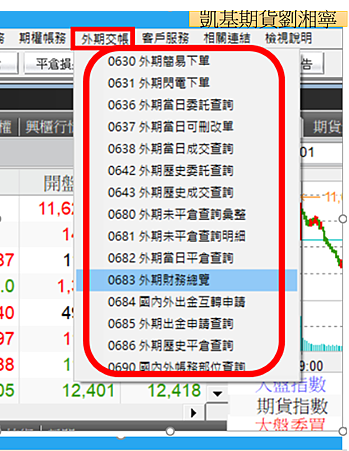凱基期貨凱基證券超級大三元~外期交帳 外期財務總覽.png 凱基期貨凱基證券超級大三元~外期交帳 外期財務總覽.png