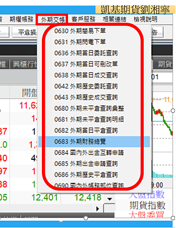 凱基期貨凱基證券超級大三元~外期交帳 外期財務總覽.png