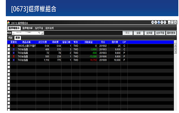 超級大三元-期權帳務0673選擇權彙總畫面.png