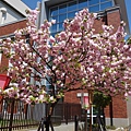 2014041418-10183.JPG