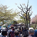 2014041418-10214.JPG