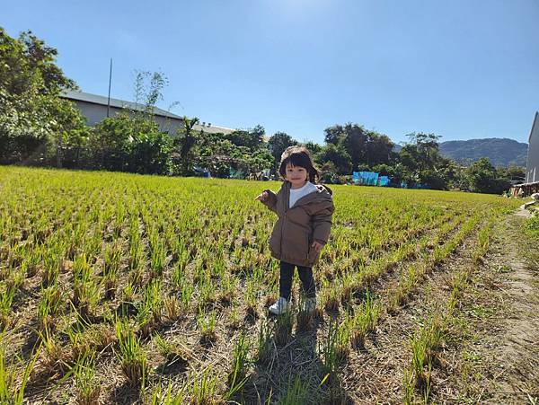 投票日之田野小網美