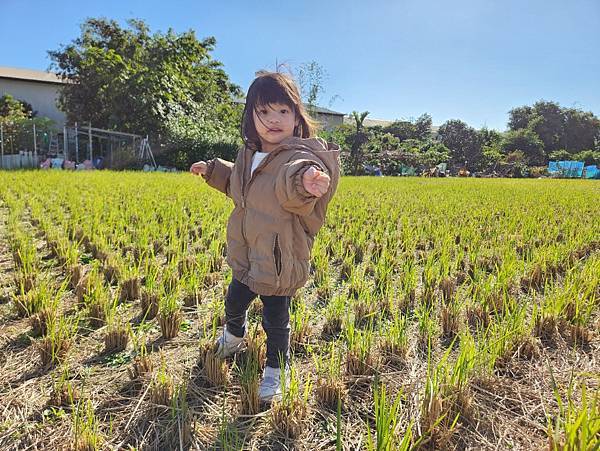 投票日之田野小網美