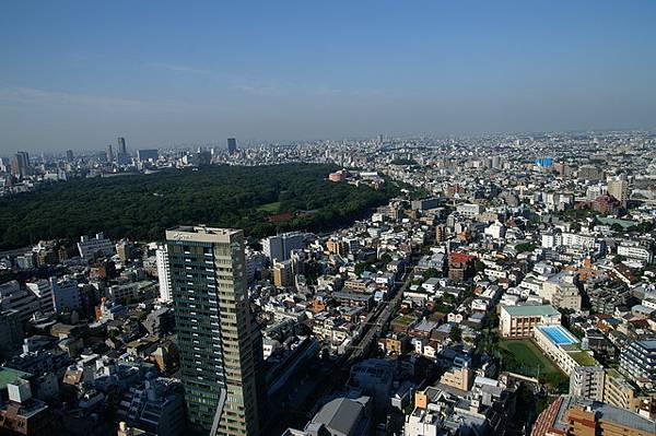 東京街景一覽無遺呀～