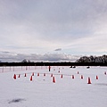 dsc_1199_39609543132_o.jpg