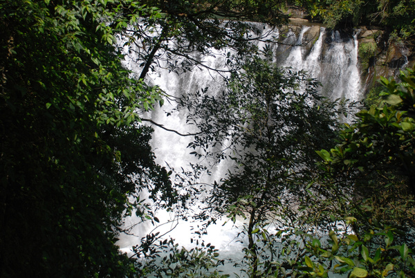 好想看全貌喔 O________Q