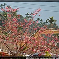 DSC_3478.jpg