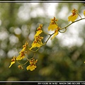 DSC_4179.jpg