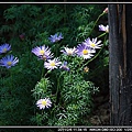 DSC_3427.jpg